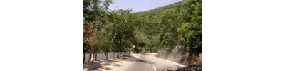 075. திருவேங்கடம்